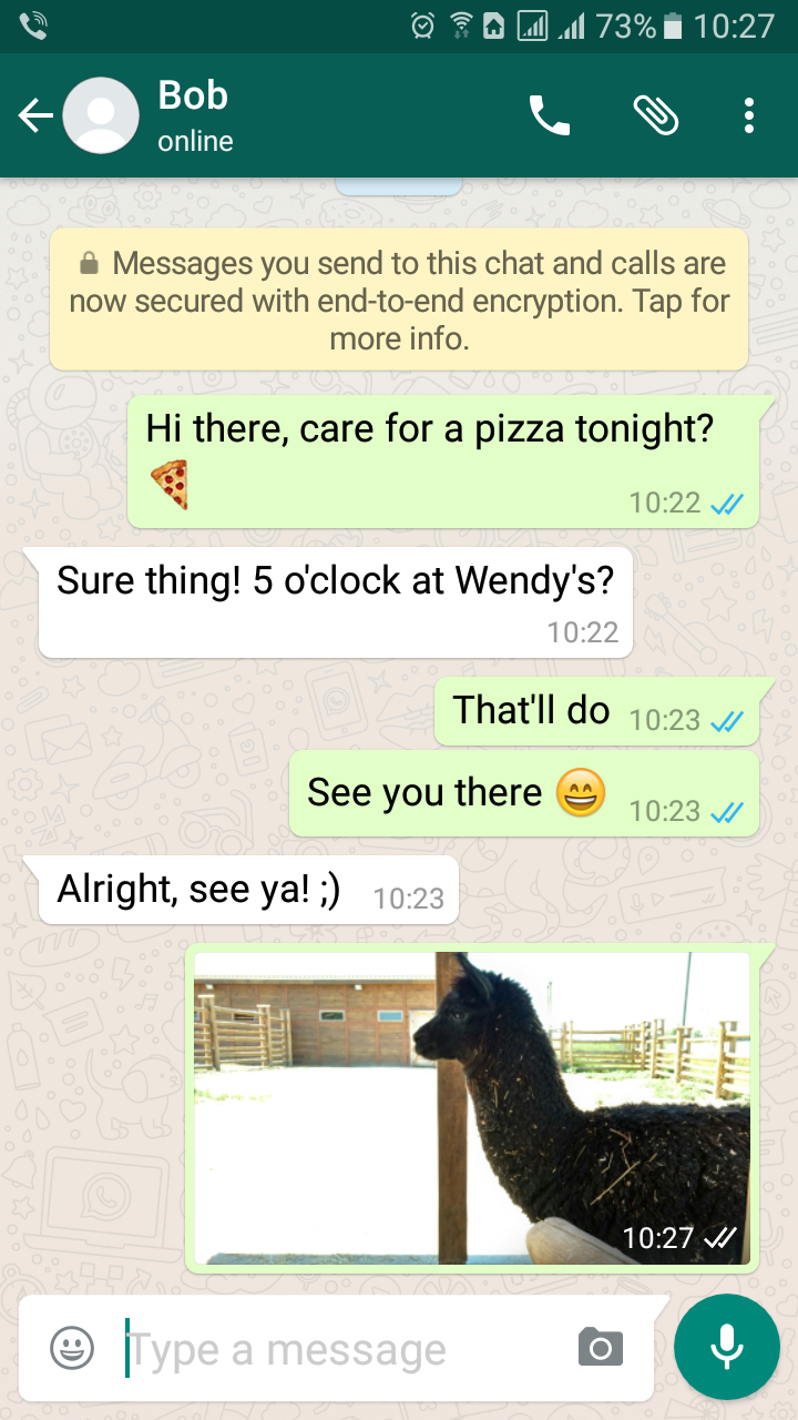 WhatsApp chat with messages about pizza and a photo of a llama