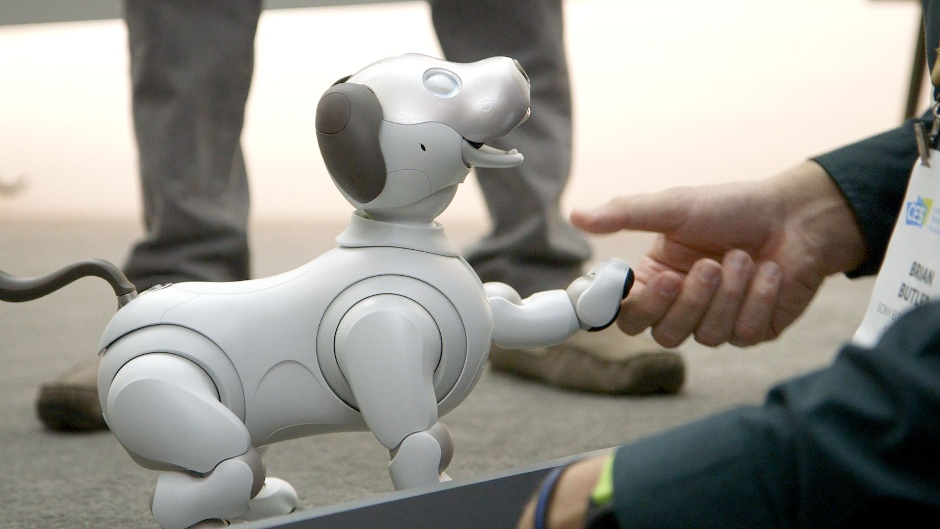 Robot dog