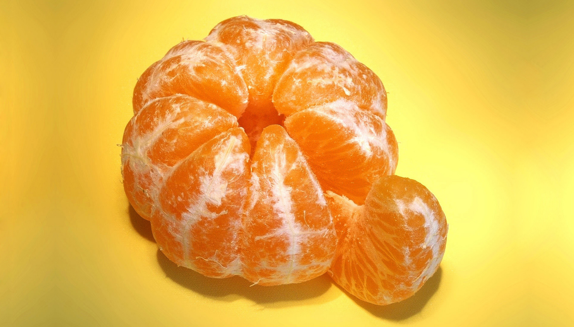 Segmentation