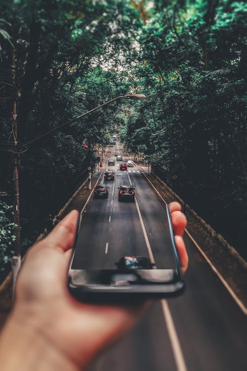 hand holding smartphone displaying a road with cars and trees